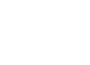 Nile University